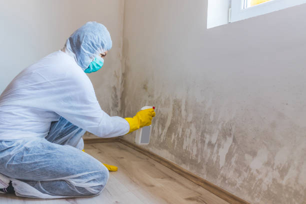 Commercial Mold Remediation assessment for commercial property in Commerce City