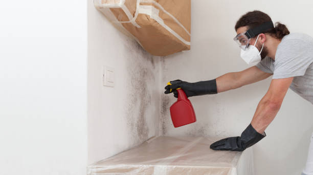 Basement Mold Remediation treatment on basement walls in Commerce City